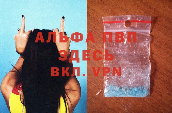 стафф Алексин