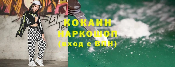 стафф Алексин