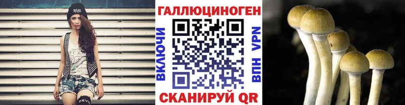Купить закладки  Североуральск  Галлюциногенные грибы Magic Shrooms 