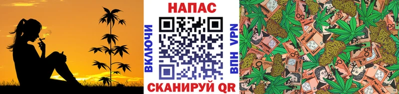 Купить  Североуральск  Каннабис ГИДРОПОН 